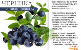 Состав черники — польза и полезные вещества