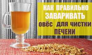 Лечебный овес — простые рецепты для здоровья