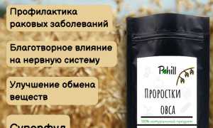 Овес — эффективное средство для очищения кишечника