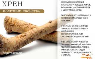 Витамины в хрен — польза и состав