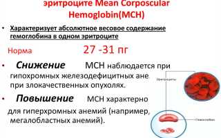 Повышенный уровень Gran у мужчин — что это значит?