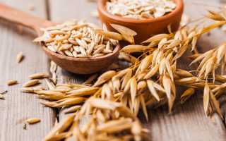 Польза отвара овса для здоровья и красоты