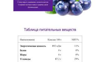 Железо в чернике — польза и содержание