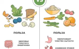 В каких продуктах содержится клетчатка? Топ продуктов