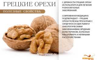 Польза грецких орехов для женского здоровья