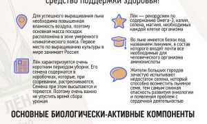 Правильное употребление семян льна