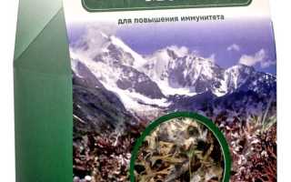 Исландский мох — чудо-лекарство от множества заболеваний