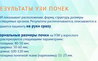 Расшифровка узи почки