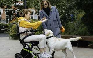 Инвалидность при ревматоидном артрите — что нужно знать