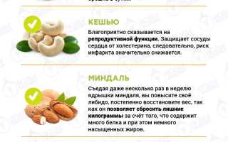 Орехи для потенции — топ-5 самых эффективных