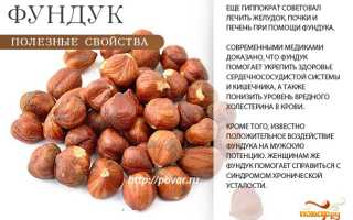 Полезные свойства фундука — польза для здоровья и красоты