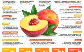 Персик — польза и вред для здоровья