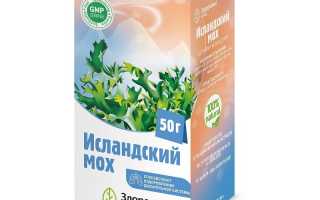 Исландский мох — 5 неожиданных преимуществ для здоровья