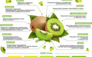 Польза киви — Волшебный фрукт