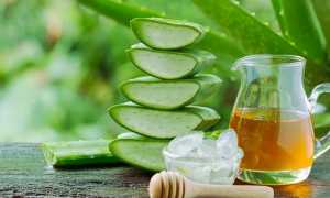 Вкусные и полезные рецепты с алоэ вера