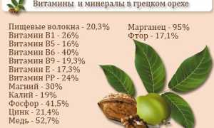 Лечебные свойства грецкого ореха — польза для здоровья