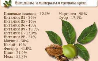Лечебные свойства грецкого ореха — польза для здоровья
