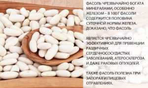 Полезные свойства белой фасоли