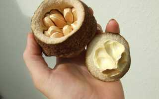 Последствия поедания большого количества бразильского ореха