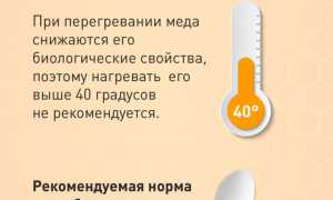 Какое количество меда в день рекомендуется мужчинам