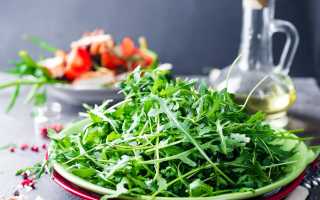 Руккола — Польза и Вред для Здоровья Женщин после 60 Лет