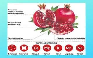 Гранат на ночь — можно ли есть перед сном?