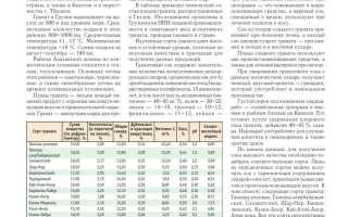 Химический состав граната — что нужно знать
