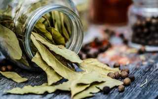 Полезные свойства лавра для здоровья и кулинарии