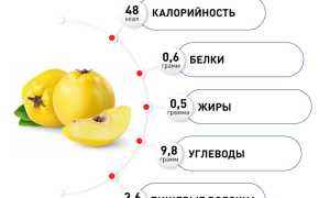 Химический состав айвы — польза и свойства