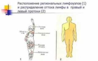 Что такое региональные лимфоузлы