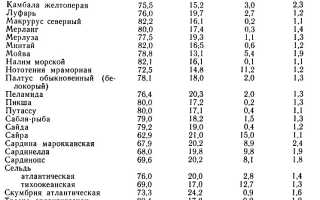Содержание белка в рыбе — таблица сравнения
