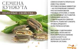 Полезные витамины в кунжуте — польза для здоровья