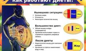 Сбрось 10 кг за 7 дней — эффективный план похудения