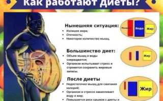 Сбрось 10 кг за 7 дней — эффективный план похудения