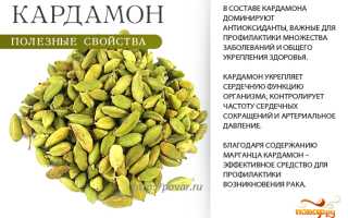 Кардамон — Полезные Свойства и Противопоказания для Женщин