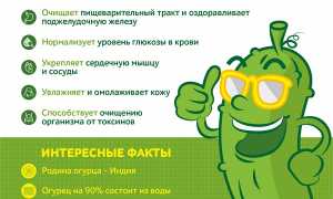 Витамины в огурце — польза для здоровья