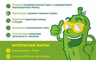 Витамины в огурце — польза для здоровья