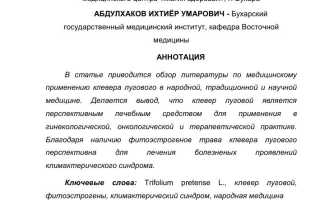 Клевер — применение в медицине