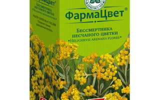 Чай с бессмертником — польза и возможные риски