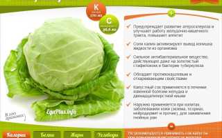 Витамины в капусте — польза для здоровья