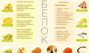 Белковый день — эффективный способ похудения
