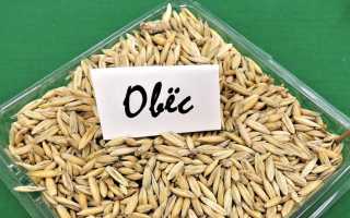 Заваривание овса — польза и способы