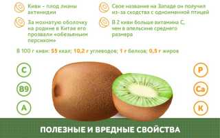 Норма потребления киви в день