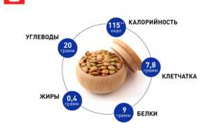 Чем полезна чечевица для женского здоровья
