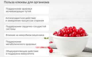 Полезные свойства клюквы для здоровья детей