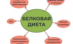 7-дневный план белковой диеты для активного снижения веса
