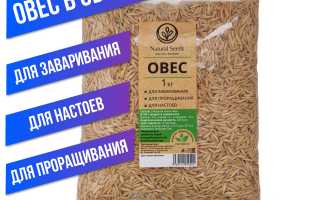 Польза овса для заваривания — где купить