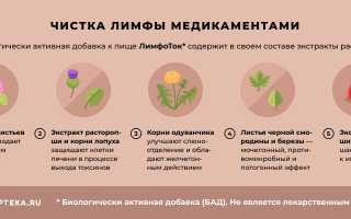 Эффективные способы очищения лимфы в домашних условиях