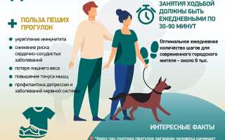 Пешие прогулки польза для здоровья