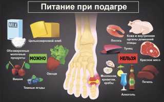 Креветки при подагре — можно ли есть?